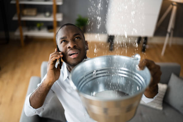 Best Professional water damage repair  in Montgomery, AL