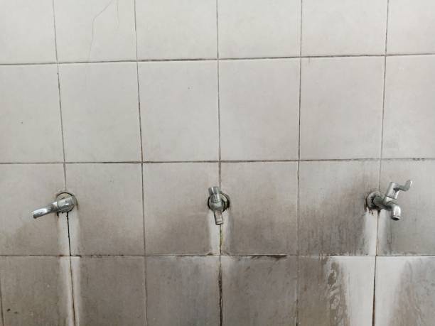Best 24-hour water damage restoration  in Montgomery, AL