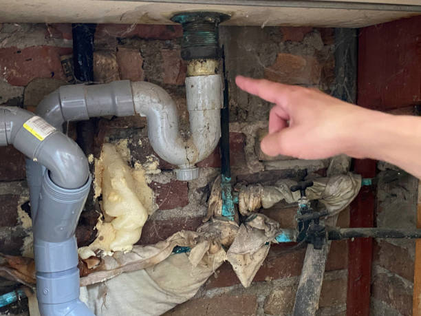 Best Flood restoration services  in Montgomery, AL