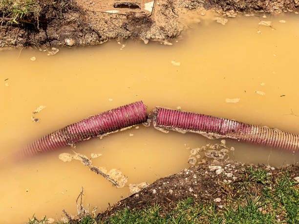 Local water damage restoration in Montgomery, AL